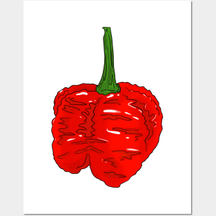 Chilli pepper sticker set habanero jalapeno carolina reaper fatalii Posters and Art